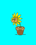 pic for Sick Flower